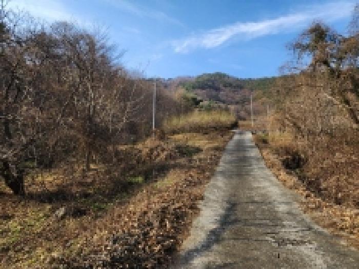 전라남도 광양시 옥룡면 추산리 1437 답 경매 사진 7