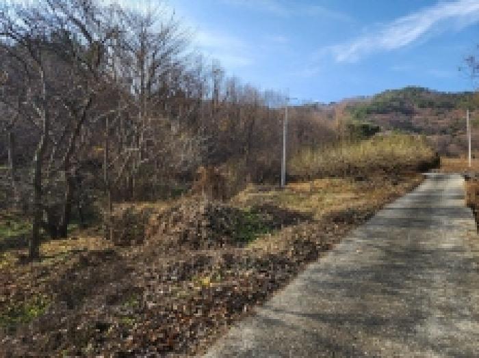 전라남도 광양시 옥룡면 추산리 1437 답 경매 사진 8