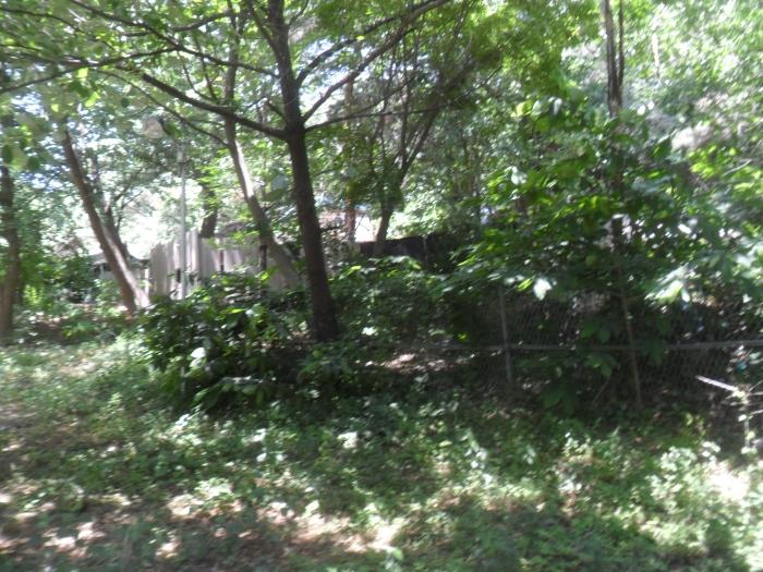서울특별시 강북구 수유동 산121 임야 경매 사진 1
