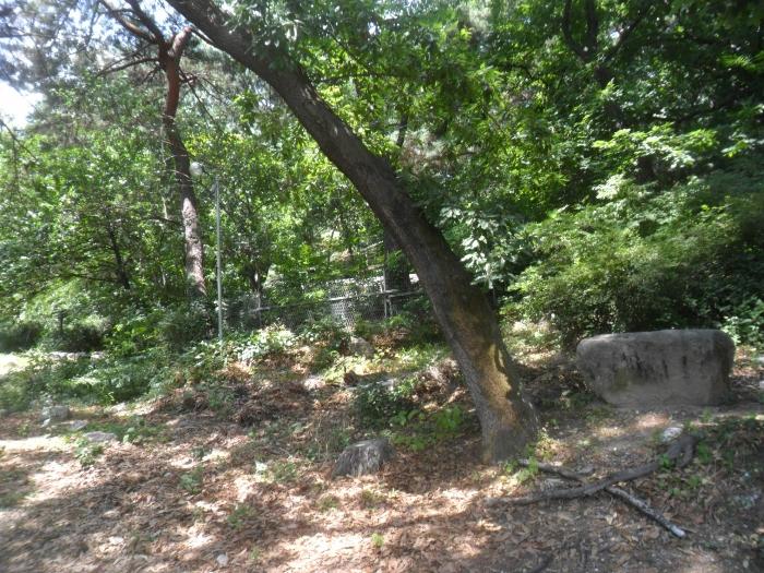 서울특별시 강북구 수유동 산121 임야 경매 사진 4