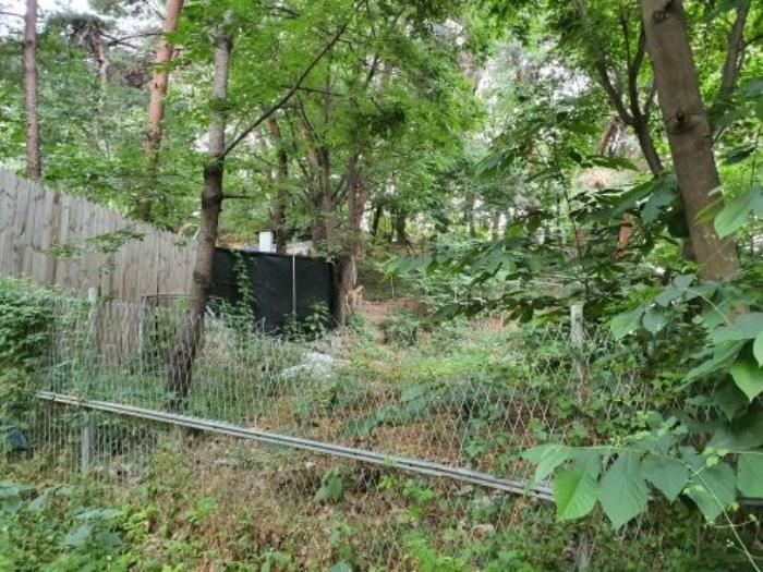 서울특별시 강북구 수유동 산121 임야 경매 사진 7