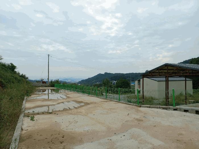 충청남도 아산시 염치읍 동정리 243-15 임야 경매 사진 11