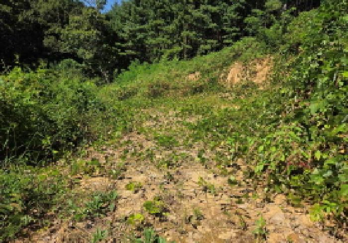 충청남도 아산시 염치읍 동정리 243-15 임야 경매 사진 26