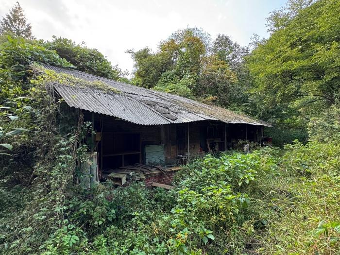 충청남도 공주시 신풍면 조평리 648 주택 경매 사진 15