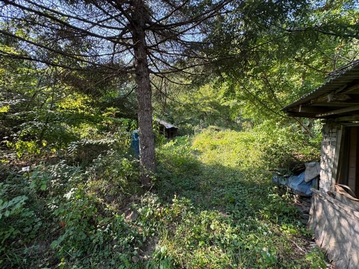 충청남도 공주시 신풍면 조평리 648 주택 경매 사진 4