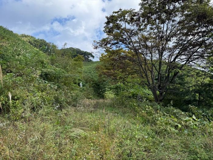 충청남도 공주시 신풍면 조평리 648 주택 경매 사진 43
