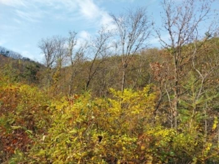 충청남도 공주시 신풍면 조평리 648 주택 경매 사진 45