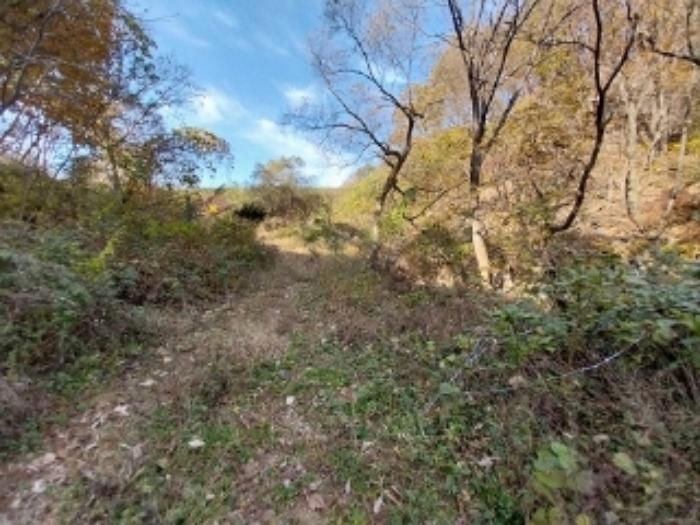 충청남도 공주시 신풍면 조평리 648 주택 경매 사진 47