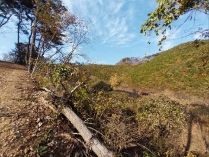충청남도 공주시 신풍면 조평리 648 주택 경매 사진 48
