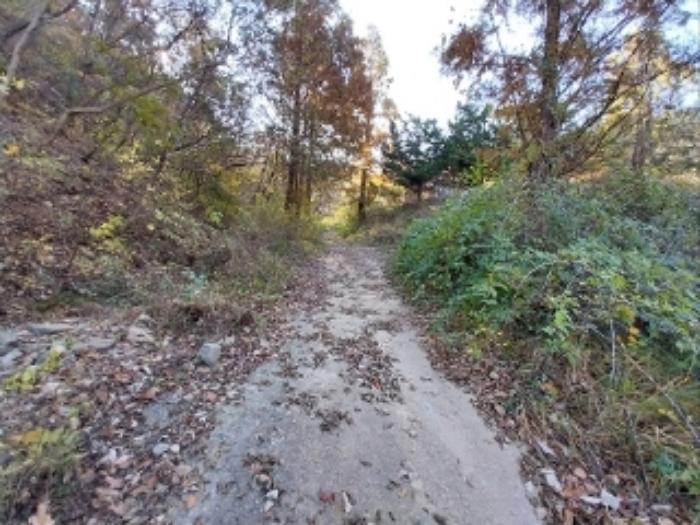 충청남도 공주시 신풍면 조평리 648 주택 경매 사진 50