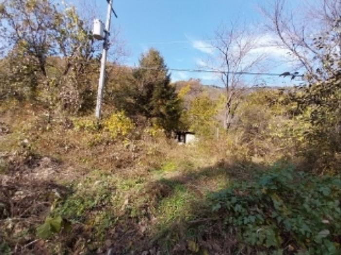 충청남도 공주시 신풍면 조평리 648 주택 경매 사진 56