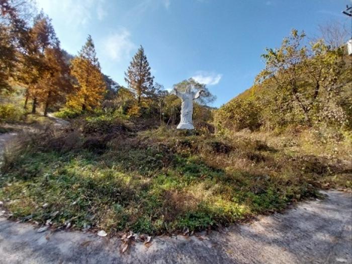 충청남도 공주시 신풍면 조평리 648 주택 경매 사진 60