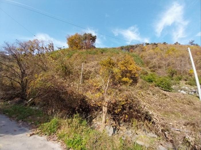 충청남도 공주시 신풍면 조평리 648 주택 경매 사진 69