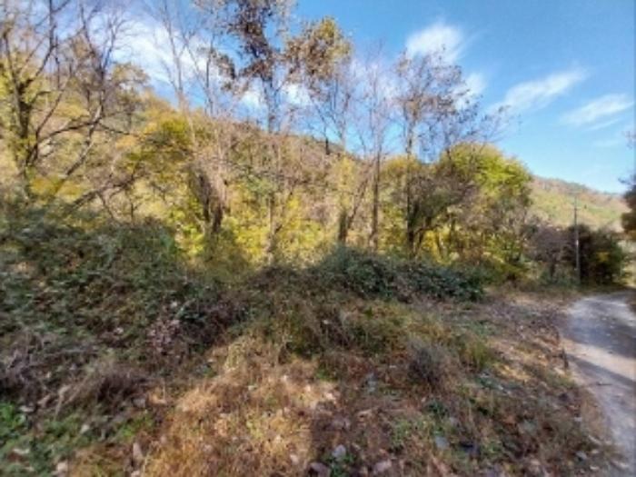 충청남도 공주시 신풍면 조평리 648 주택 경매 사진 72
