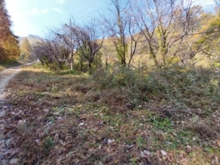 충청남도 공주시 신풍면 조평리 648 주택 경매 사진 73