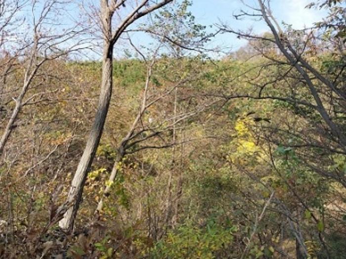 충청남도 공주시 신풍면 조평리 648 주택 경매 사진 74