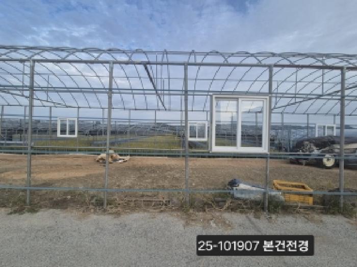 부산광역시 강서구 대저2동 901-1 답 경매 사진 6