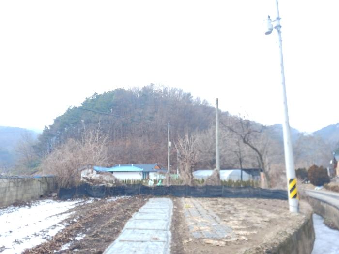 충청남도 공주시 유구읍 입석리 산23 임야 경매 사진 1