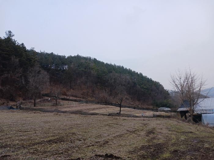 충청남도 공주시 유구읍 입석리 산23 임야 경매 사진 2