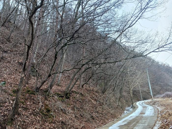 충청남도 공주시 유구읍 입석리 산23 임야 경매 사진 3