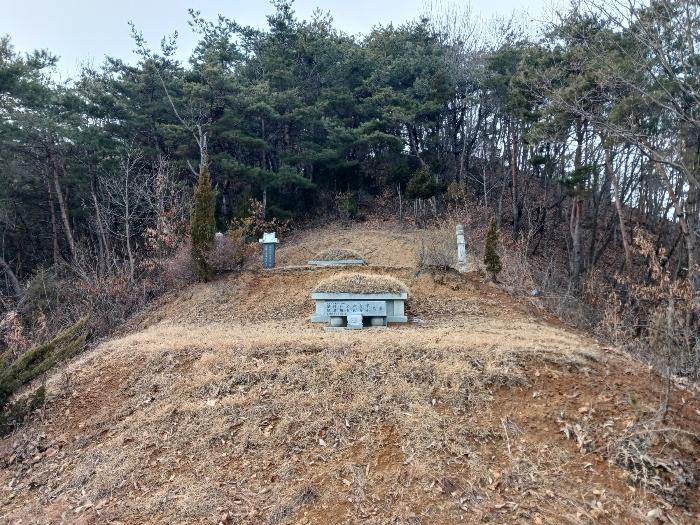 충청남도 공주시 유구읍 입석리 산23 임야 경매 사진 4
