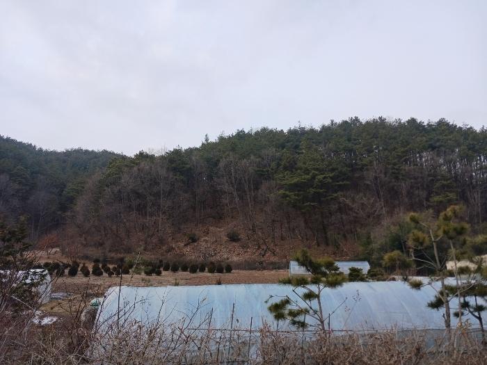충청남도 공주시 유구읍 입석리 산23 임야 경매 사진 5