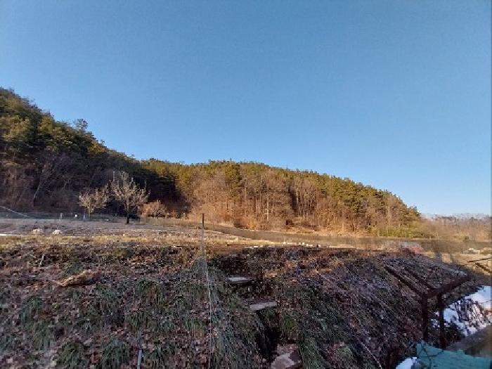충청남도 공주시 유구읍 입석리 산23 임야 경매 사진 7