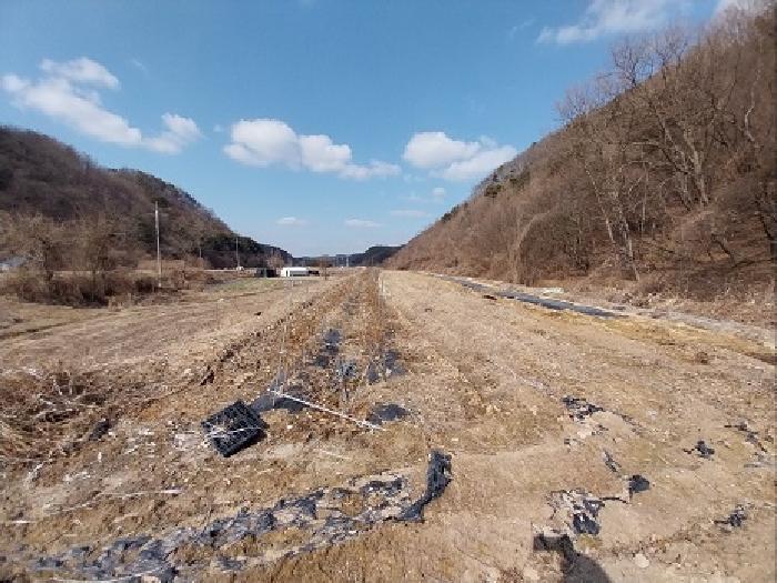 충청남도 공주시 계룡면 내흥리 725 답 경매 사진 3