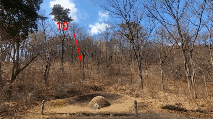 경상남도 양산시 평산동 1081-1 전 경매 사진 22