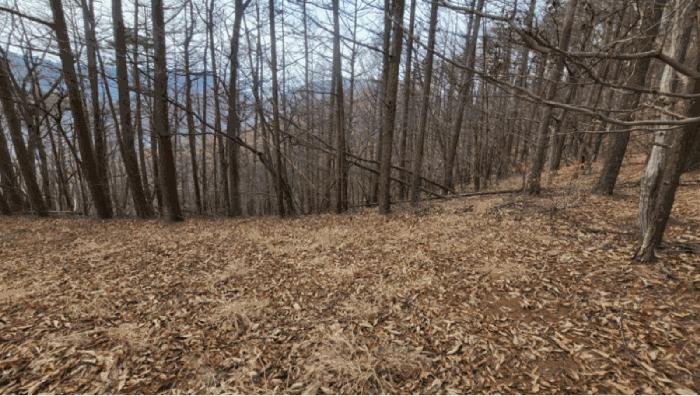 경상남도 양산시 평산동 1081-1 전 경매 사진 8