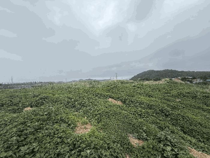 울산 울주군 답