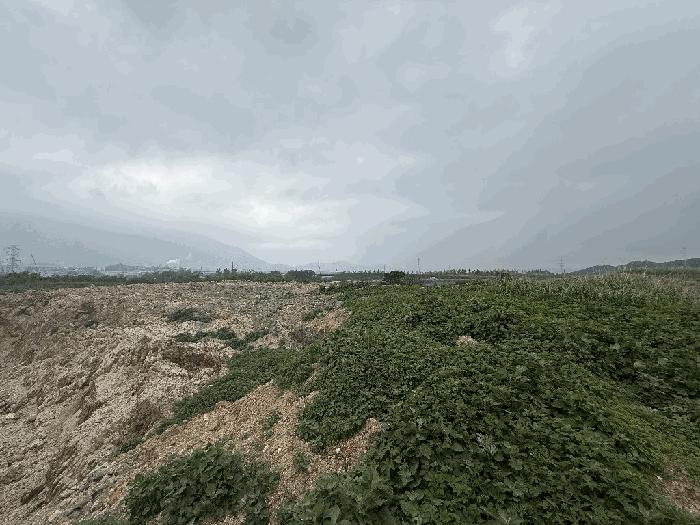 울산광역시 울주군 삼남읍 상천리 668-2 답 경매 사진 2