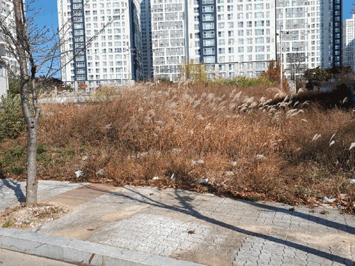 울산 북구 대지