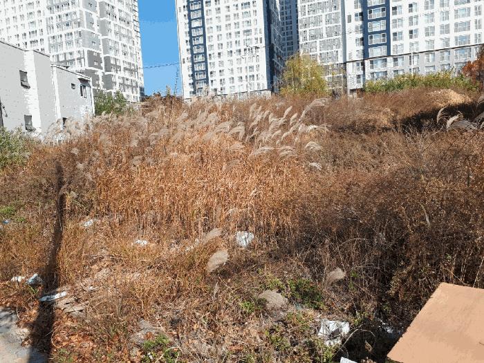울산광역시 북구 매곡동 899-3 대지 경매 사진 2