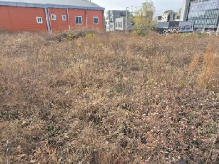울산광역시 북구 매곡동 899-3 대지 경매 사진 6
