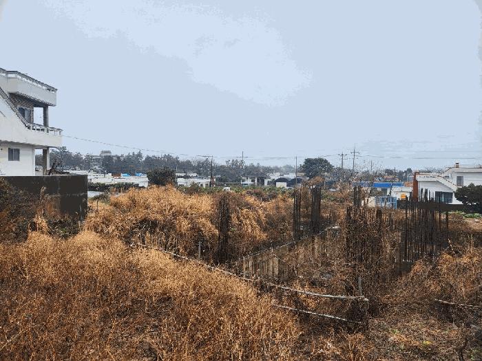 제주특별자치도 서귀포시 남원읍 위미리 1906-1 과수원 경매 사진 1