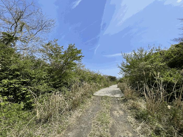 제주특별자치도 제주시 애월읍 소길리 산253-6 임야 경매 사진 2
