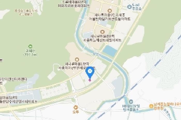 세종특별자치시 집현동 1321 대지 경매 사진 10