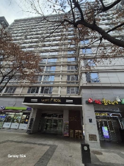 서울특별시 서초구 서초대로74길 51, 1층104호 (서초동,강남역롯데골드로즈)구) 서울특별시 서초구 서초동 1330-6 근린상가 경매 사진 5