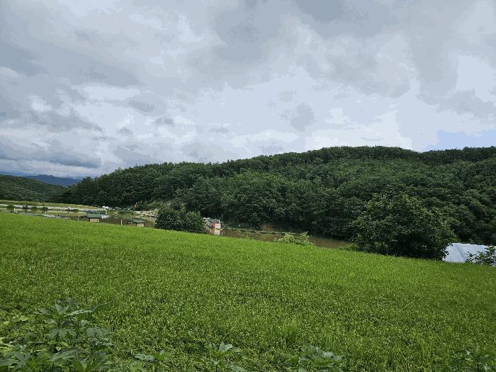 경기도 포천시 관인면 사정리 산72 임야 경매 사진 7
