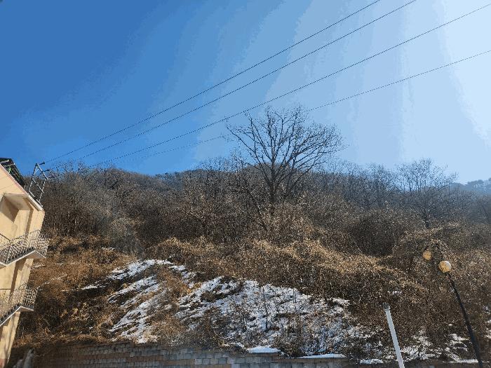 경기도 가평군 청평면 고성리 642-13 임야 경매 사진 1