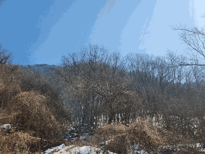 경기도 가평군 청평면 고성리 642-13 임야 경매 사진 2