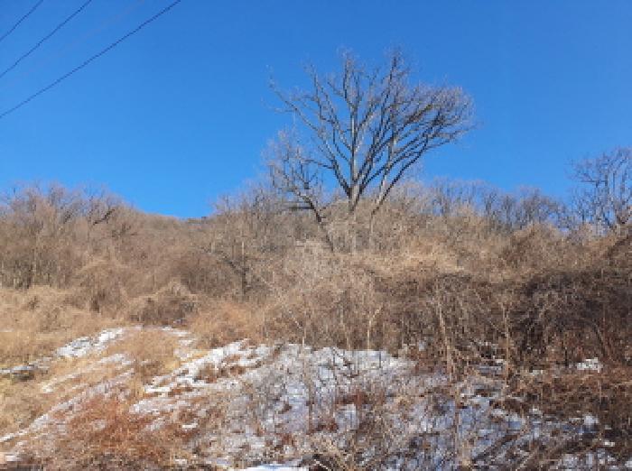경기도 가평군 청평면 고성리 642-13 임야 경매 사진 3