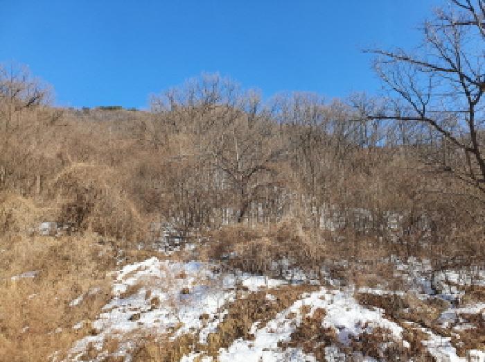 경기도 가평군 청평면 고성리 642-13 임야 경매 사진 6