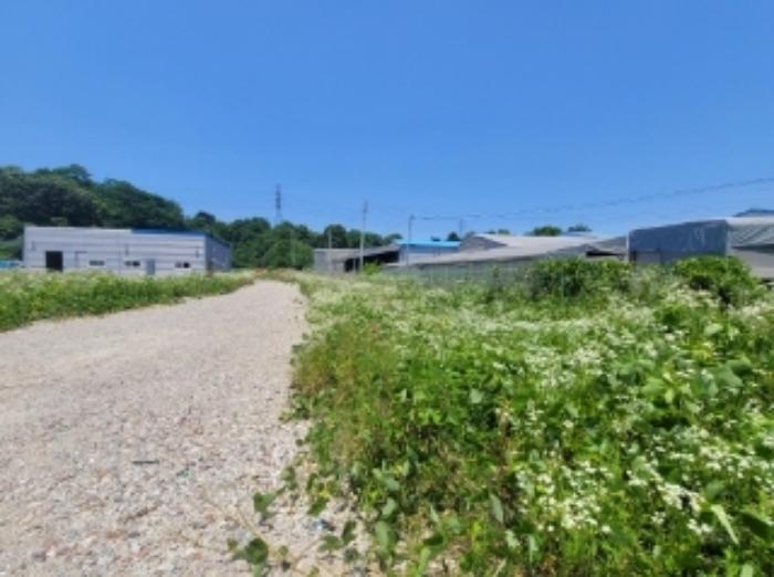 충청북도 진천군 이월면 사곡리 597-25 공장 경매 사진 7