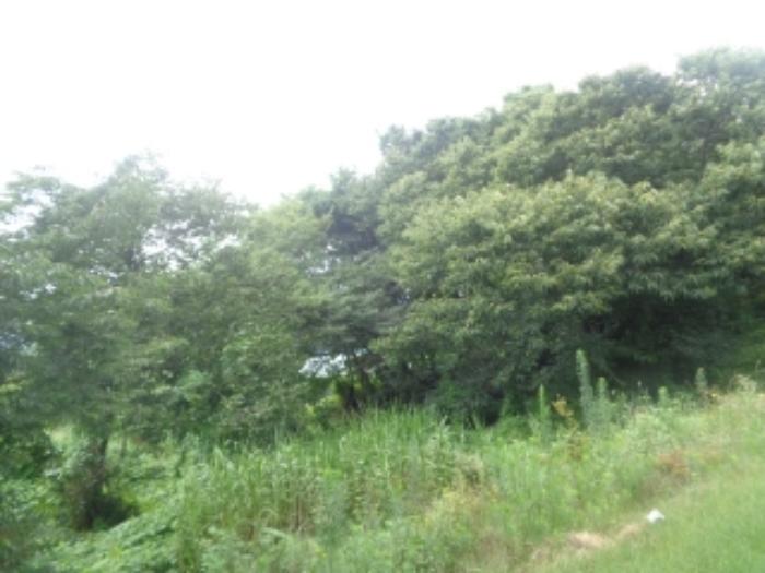 충청북도 청주시 청원구 내수읍 은곡리 281-5 전 경매 사진 5