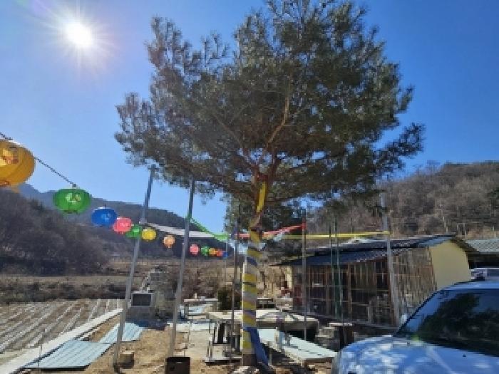 경상북도 영주시 평은면 오운리 720-1 전 경매 사진 24