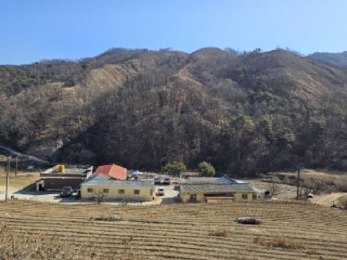 경상북도 영주시 평은면 오운리 720-1 전 경매 사진 6