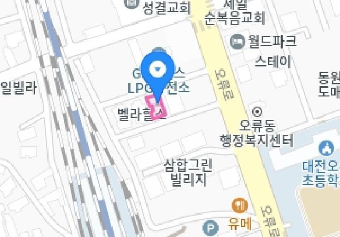 대전광역시 중구 오류동 181-17 로즈마리빌 5층502호 다세대(빌라) 경매 사진 24