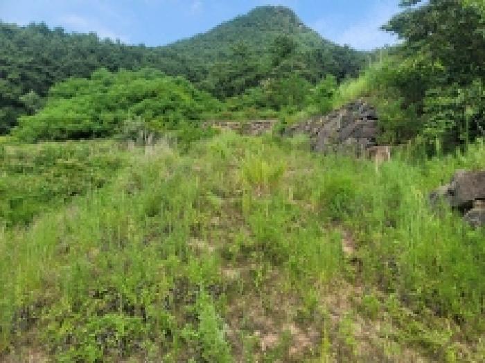 경상남도 거제시 사등면 창호리 1215 전 경매 사진 10